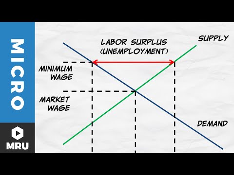 Price Floors The Minimum Wage Microeconomics Videos